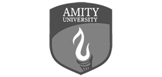 assignment help for amity university