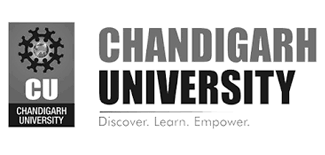 assignment help for chandigarh university
