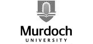 assignment help for murdoch university in uae