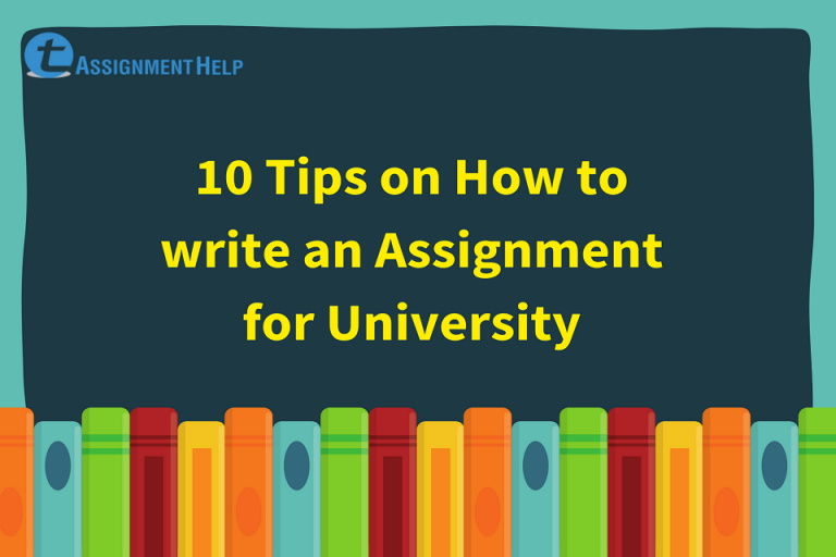 university assignment meaning
