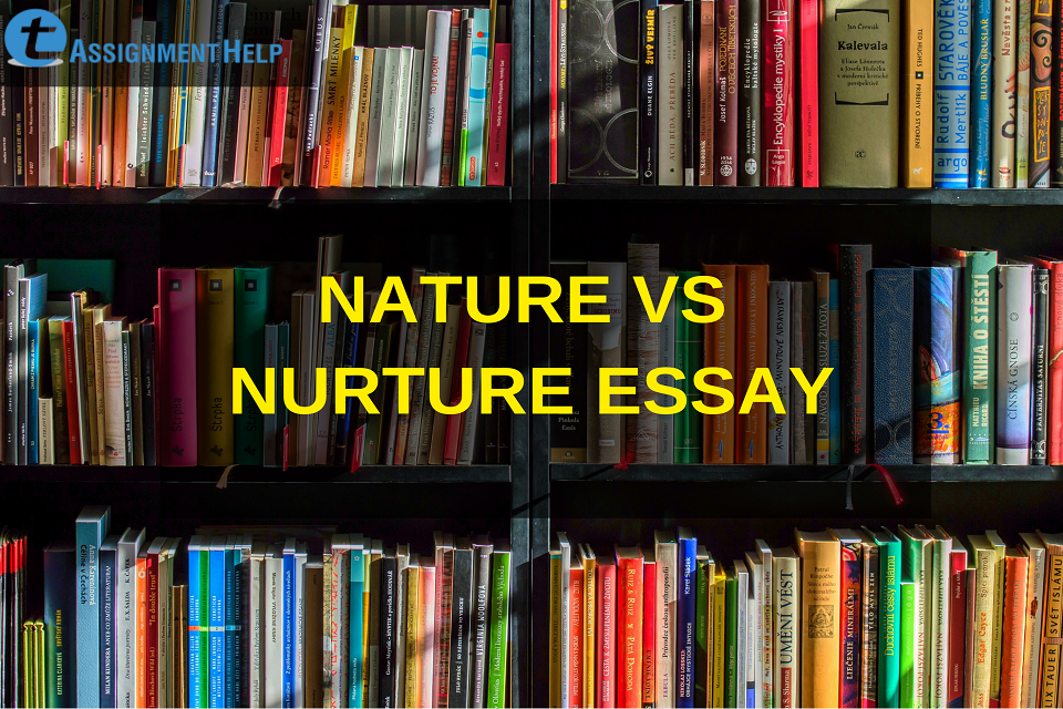 nature vs nurture essay question