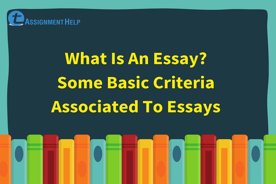 What Is An Essay