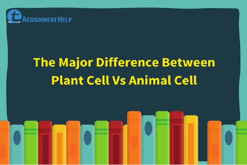 Difference Between Plant Cell Vs Animal Cell