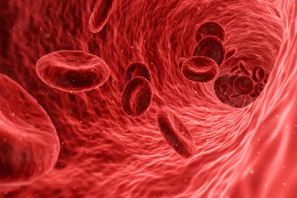 Active Vs Passive Immunity