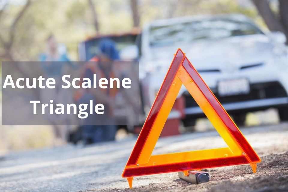 Acute Scalene Triangle