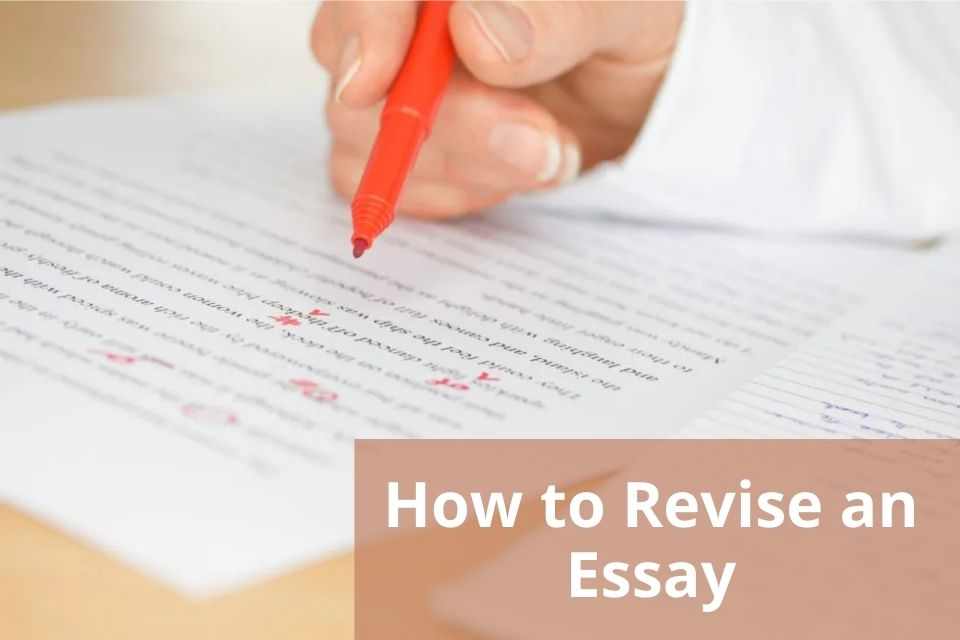 revise in essay writing
