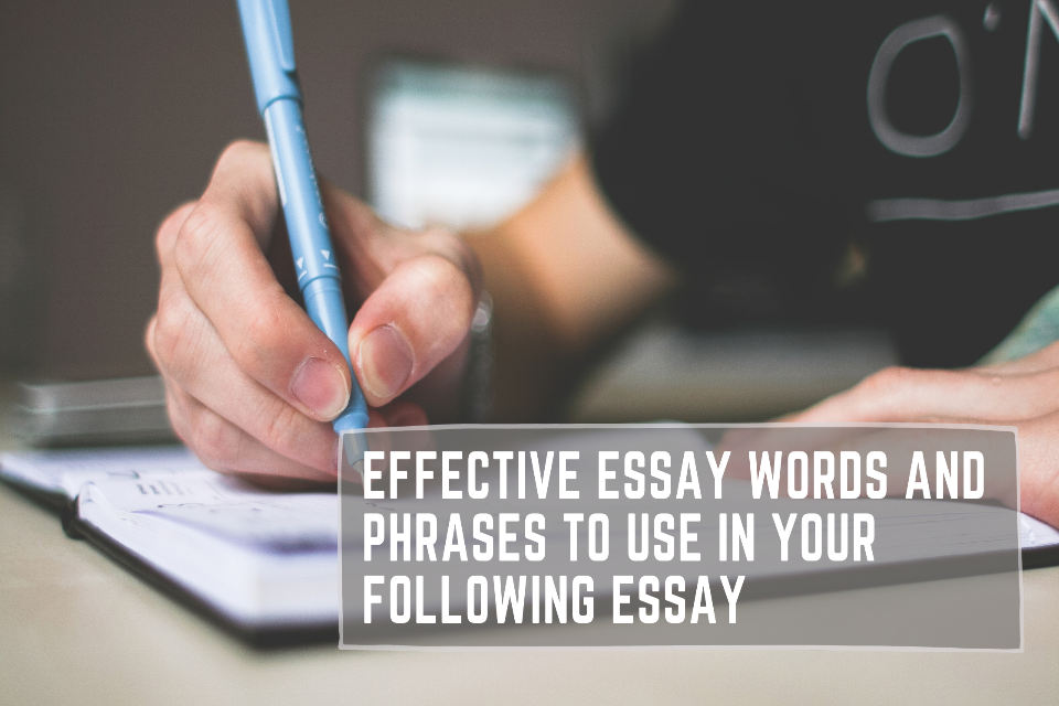 words and phrases for essay