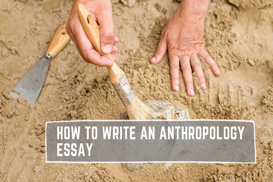 anthropology simple essay