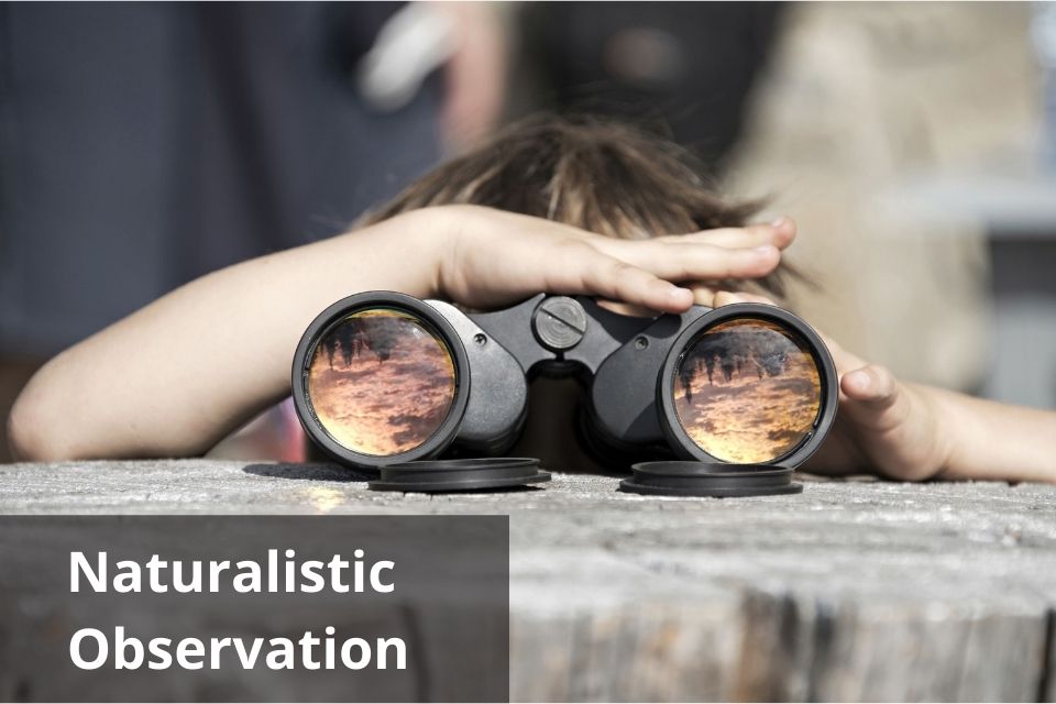 descriptive research naturalistic observation