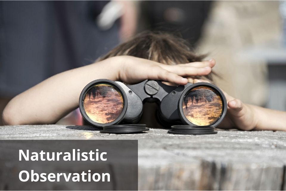 Naturalistic Observation