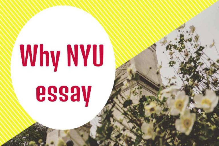 does nyu have an essay