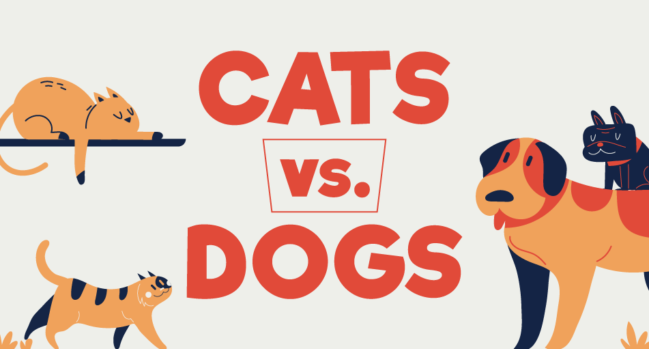 Description: Header_Cats-vs-Dogs