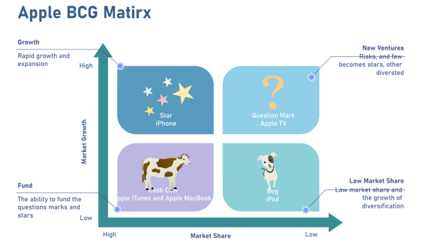 bcg matrix assignment