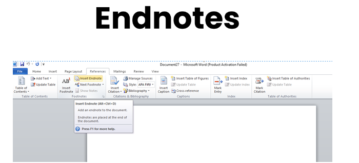 what are endnotes
