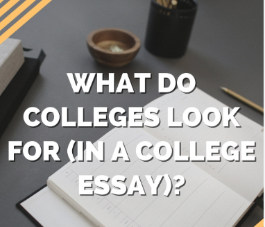 what do colleges look for in an essay