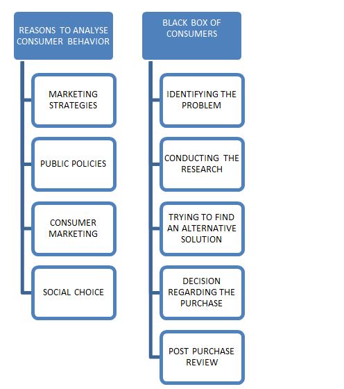 Analysis On Consumer Behavior Assignment Help